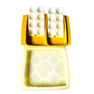 Vintage Tupperware Deviled Egg Carrier with Lid